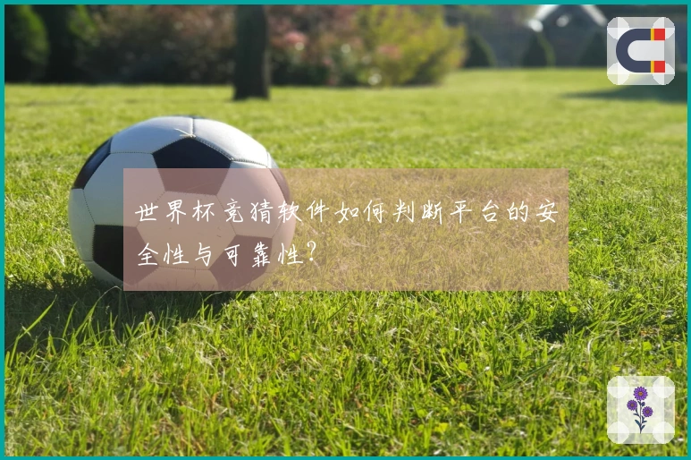世界杯竞猜软件如何判断平台的安全性与可靠性？