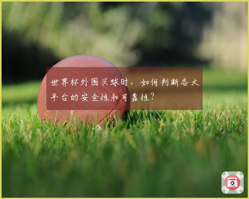 世界杯外围买球时，如何判断各大平台的安全性和可靠性？