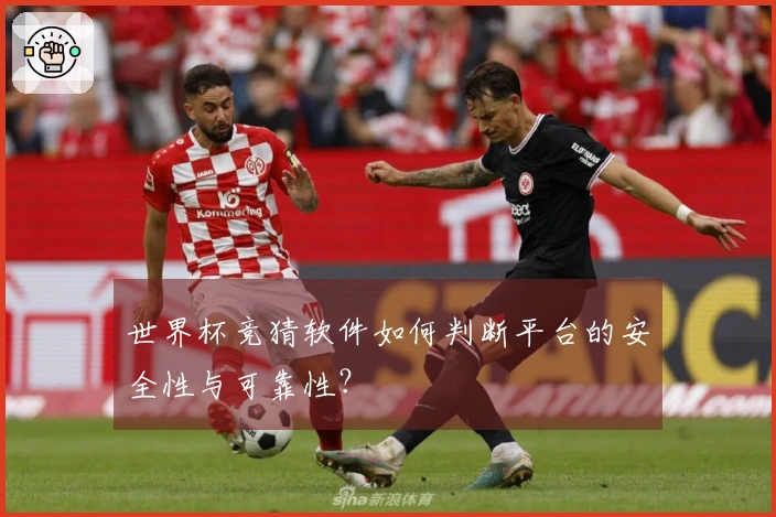 世界杯竞猜软件如何判断平台的安全性与可靠性？