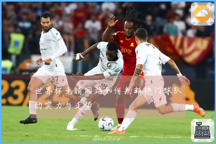 世界杯竞猜网站如何判断热门球队的实力与走势